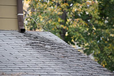Roof Repair in Alvin, Texas